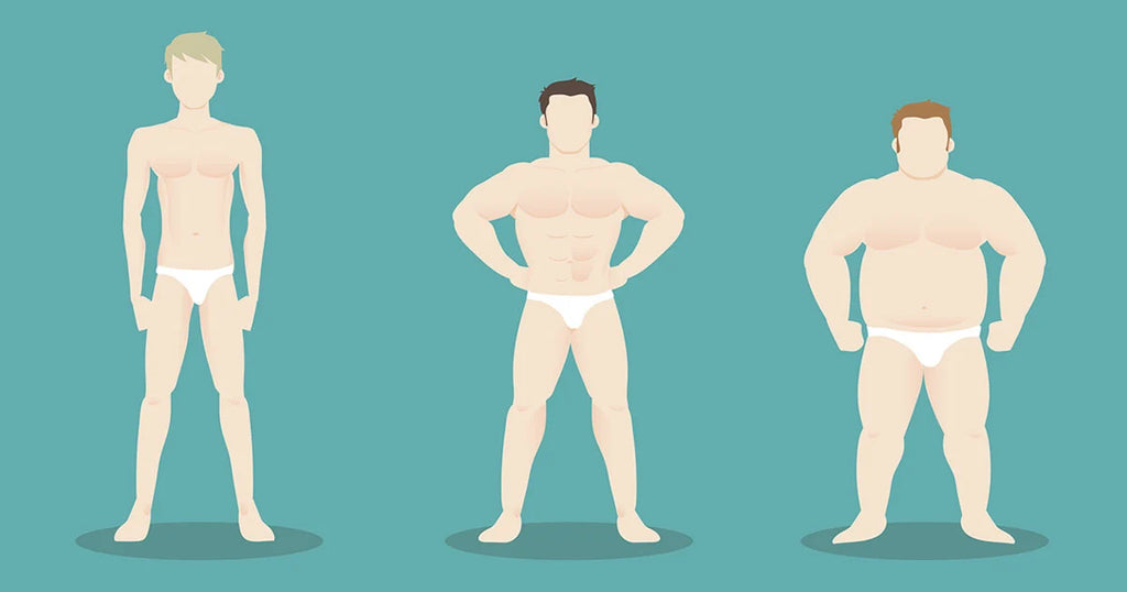 Your Body Type - Ectomorph, Mesomorph or Endomorph?