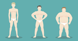 Your Body Type - Ectomorph, Mesomorph or Endomorph?