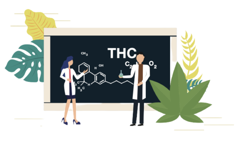 What Is Delta 10 THC?
