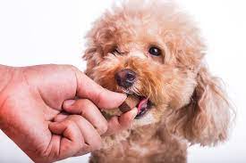 Pet supplements