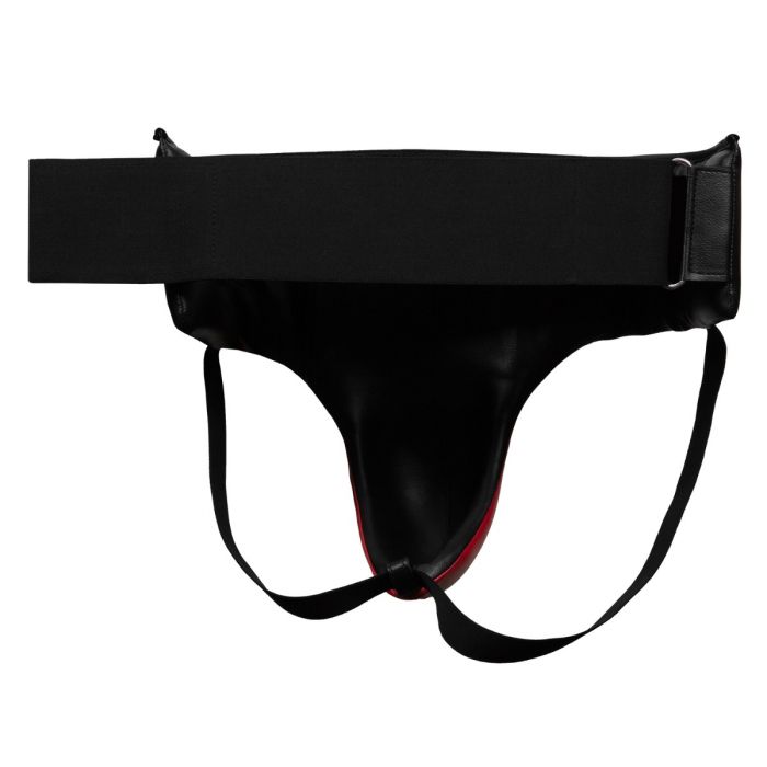 Titile Classic Delux Groin Protector 2.0